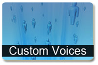Custom Voices